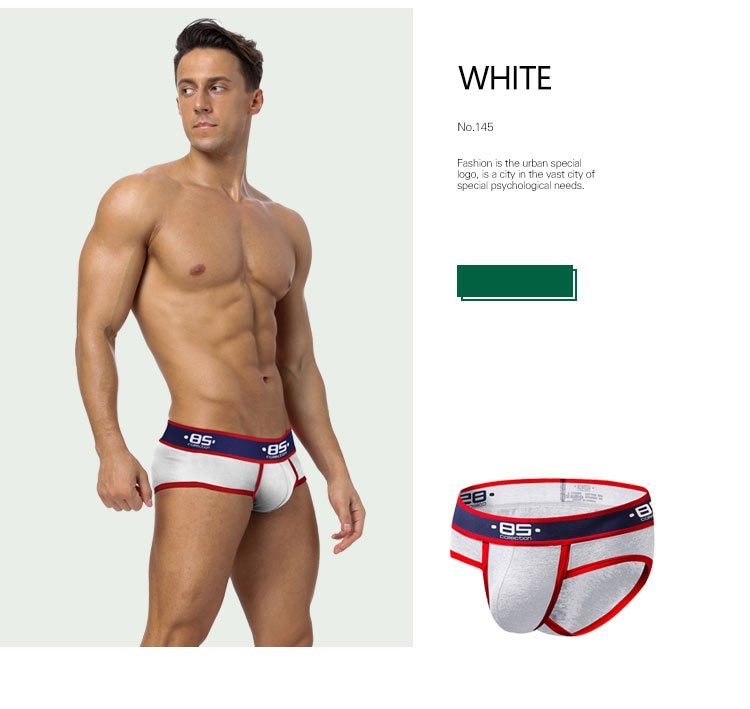 Men's Printed Briefs